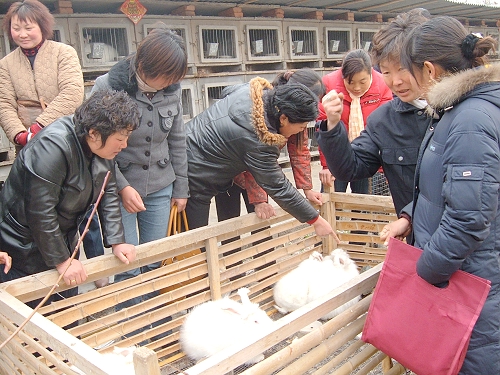 薛城沙沟开展千名妇女看发展活动(图) -枣庄大