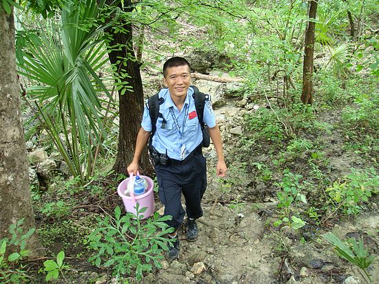 东帝汶有多少人口_东帝汶历年儿童(14岁及以下)人口总数统计--快易数据