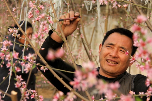 摄影报道:立春时节市中农民抓住时机干农活