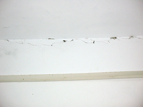 枣庄中联水泥采石爆破震裂村民房屋(图) -枣庄