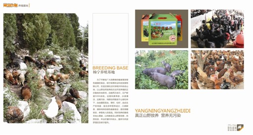 http://zaozhuang.dzwww.com/zt/ttcj/tp/201212/./W020121220539343768395.jpg