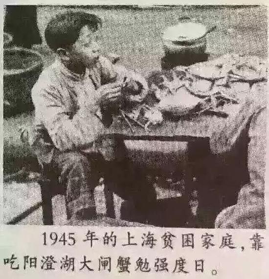 (来源:时尚旅游"上海人一年吃5万吨大闸蟹"中间