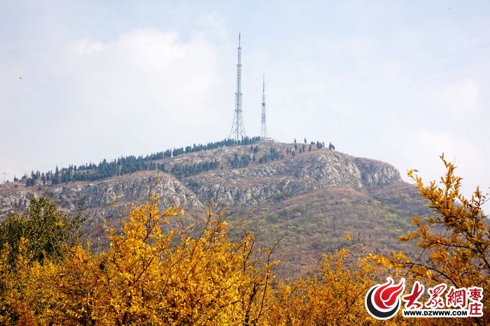 枣庄:多彩环城森林绿道(组图)