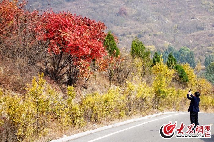 枣庄:多彩环城森林绿道(组图)