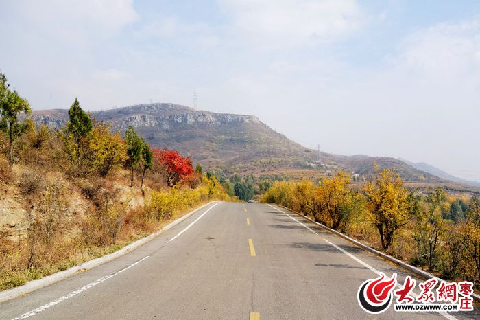 枣庄:多彩环城森林绿道(组图)