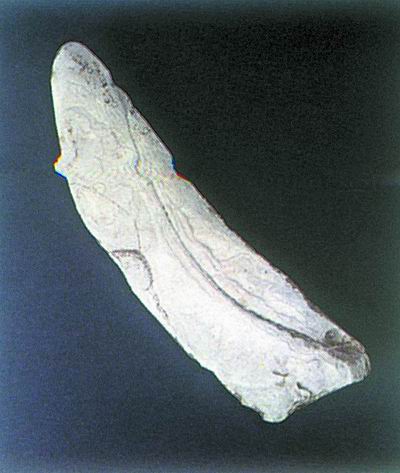 h03141215.jpg